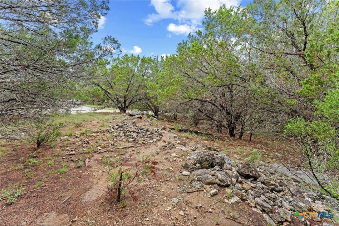 0.25 acres in Travis County - photo 10