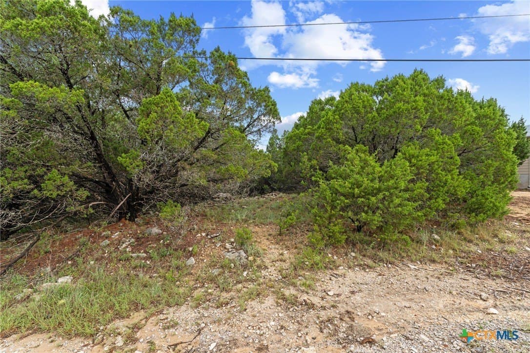 0.25 acres in Travis County - photo 8