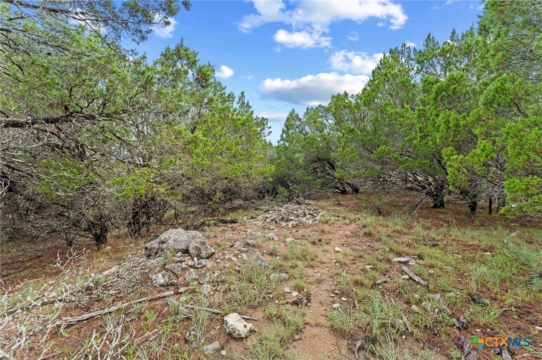 0.25 acres in Travis County gallery image 2