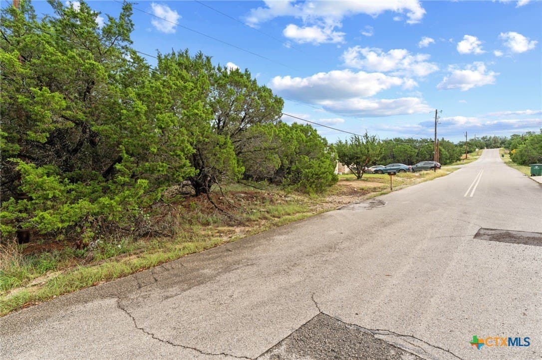 0.25 acres in Travis County - photo 9