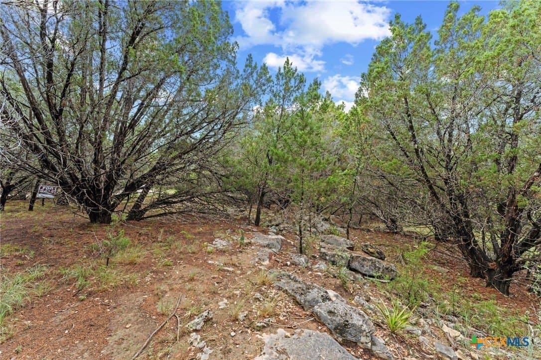 0.25 acres in Travis County - photo 11