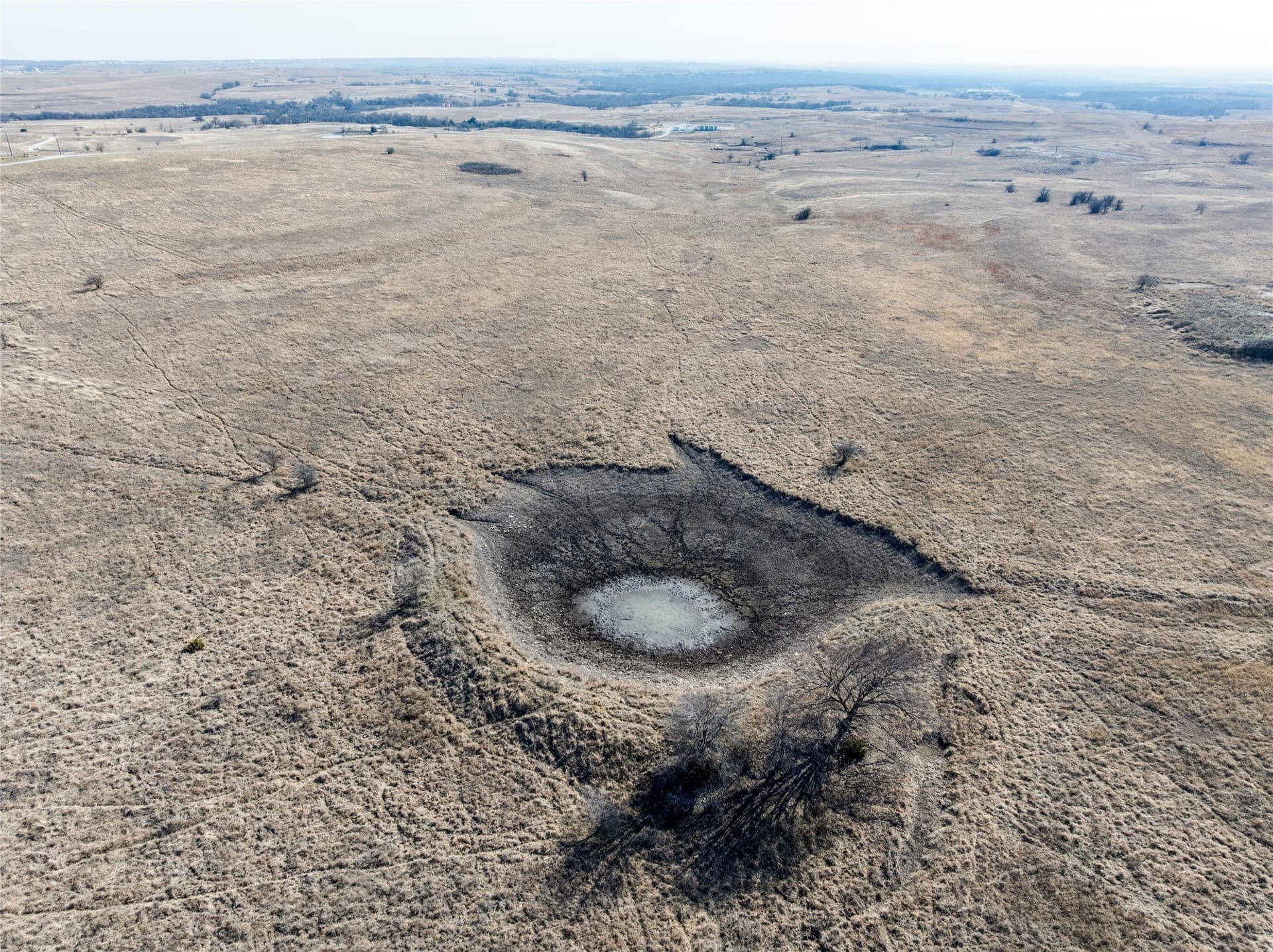 105 acres in Wise County gallery image 4