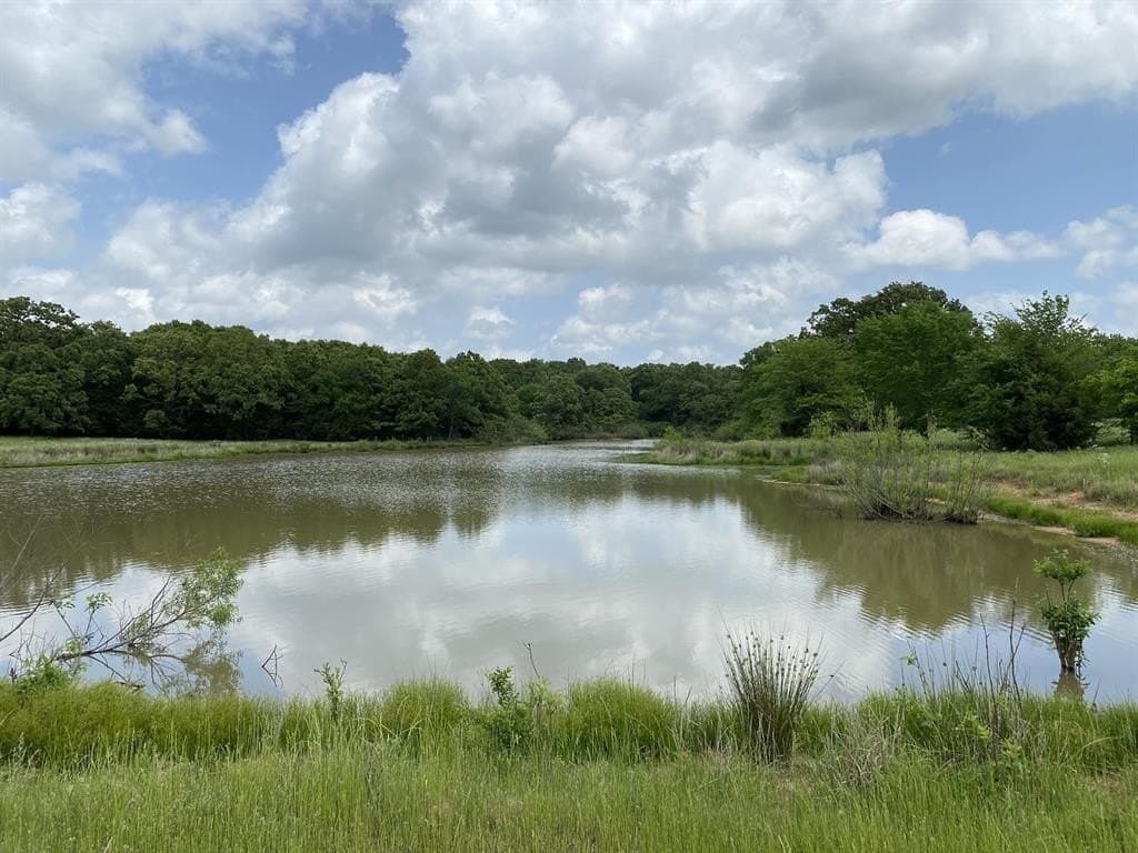 32 acres in Van Zandt County gallery image 4