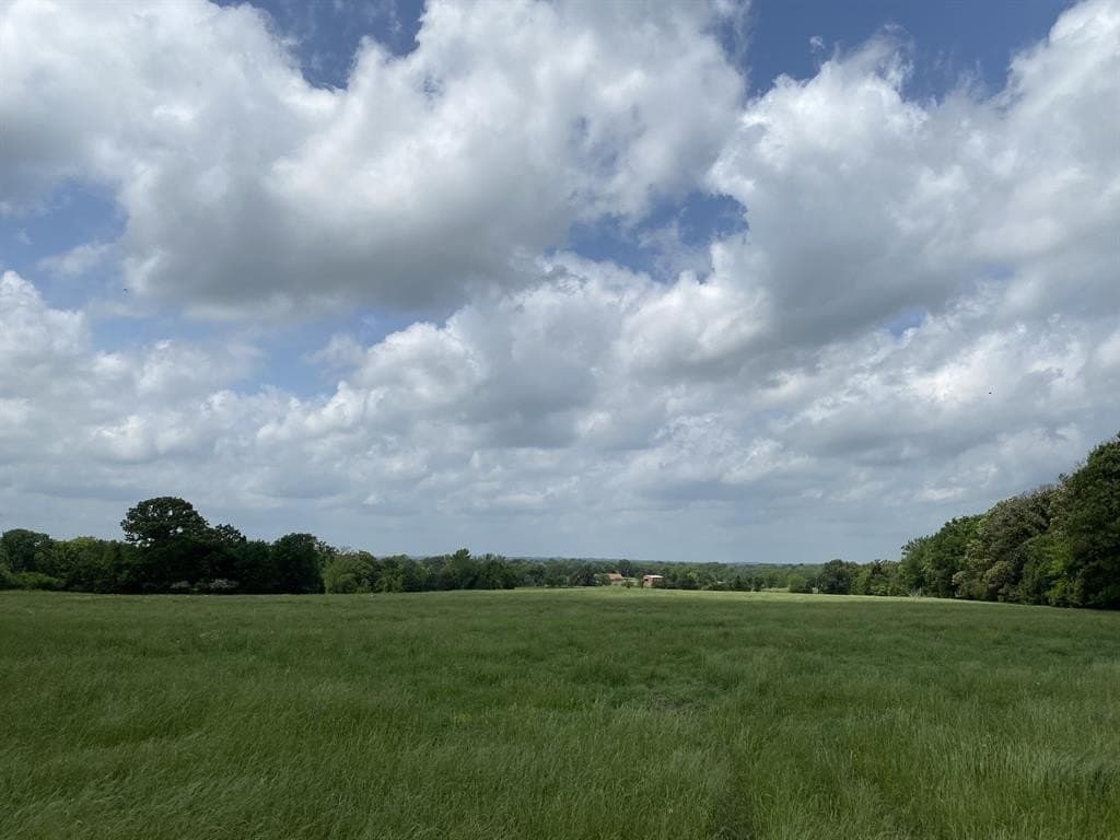 32 acres in Van Zandt County gallery image 3