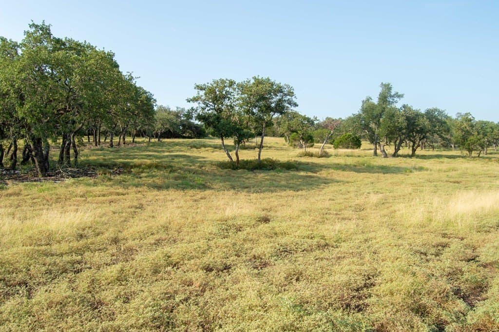 71 acres in Real County - photo 18