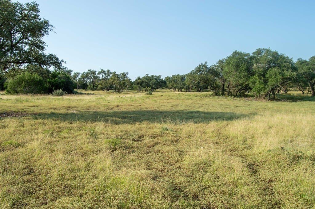 71 acres in Real County - photo 17