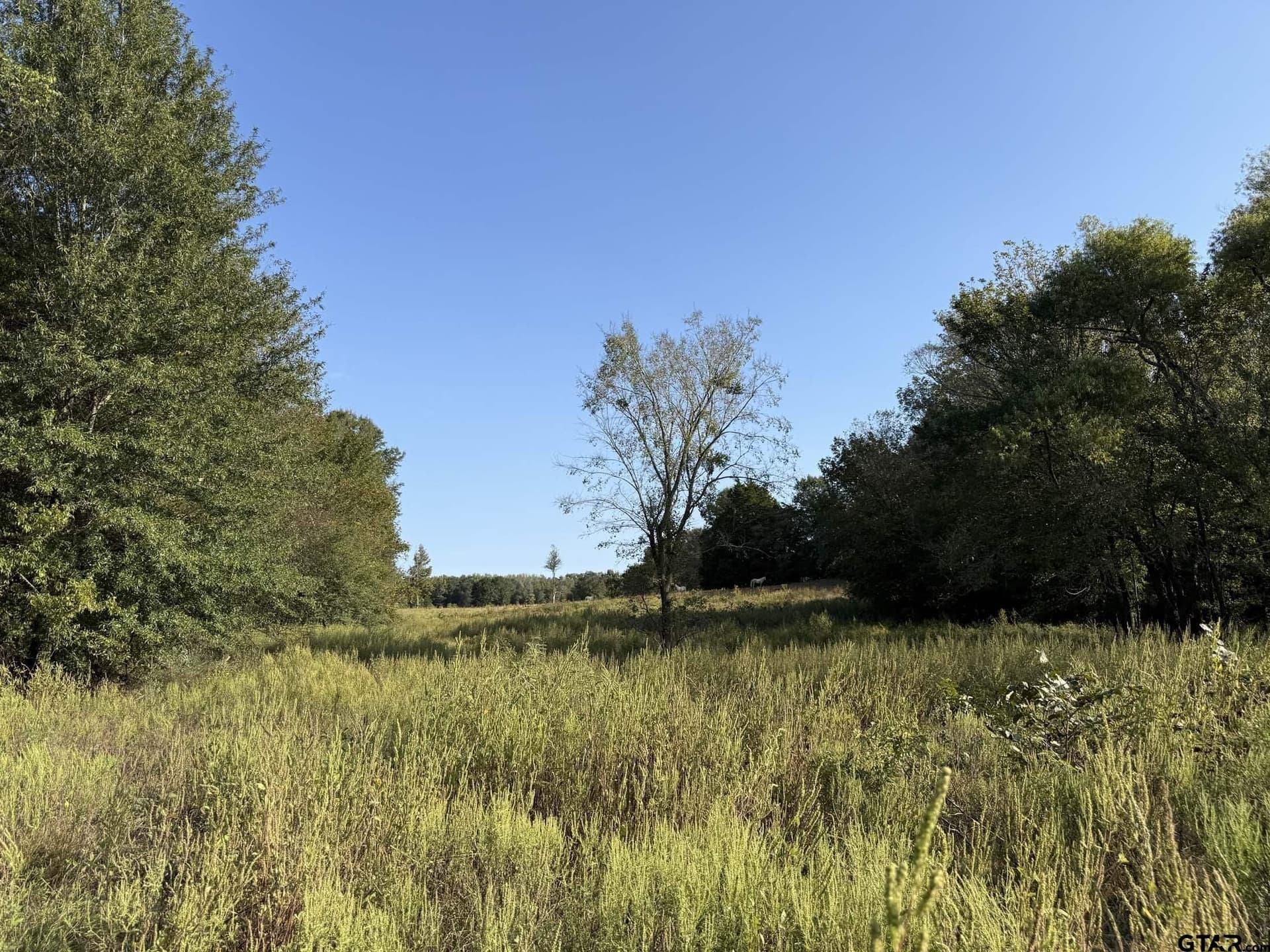 21.09 acres in Van Zandt County featured view