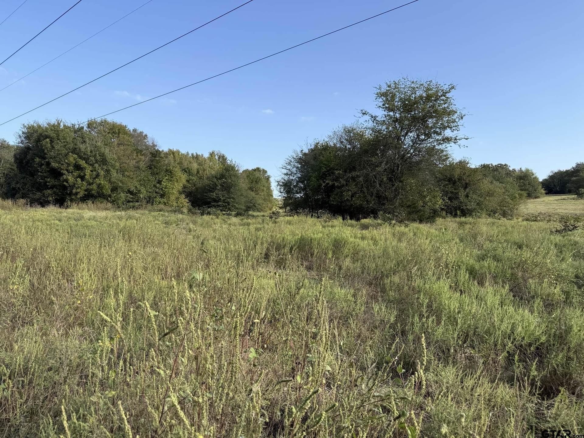 21.09 acres in Van Zandt County gallery image 4