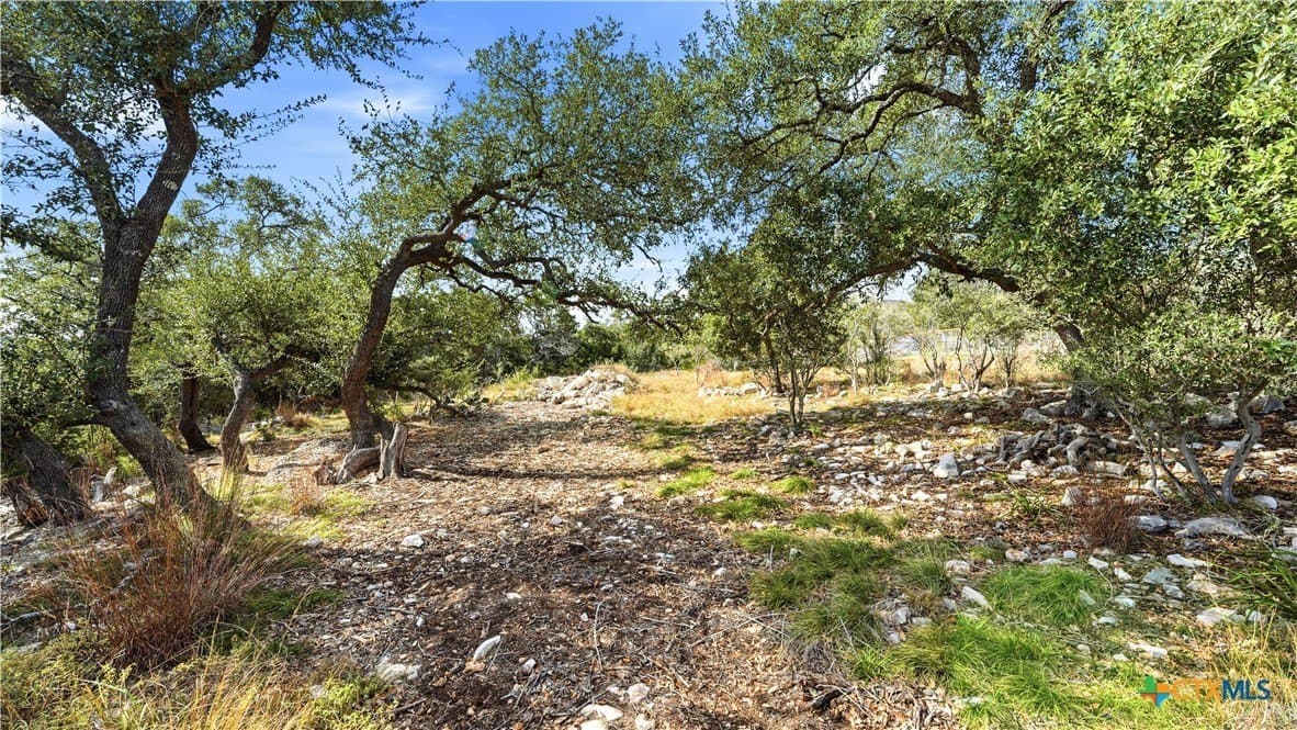 1.02 acres in Comal County - photo 5