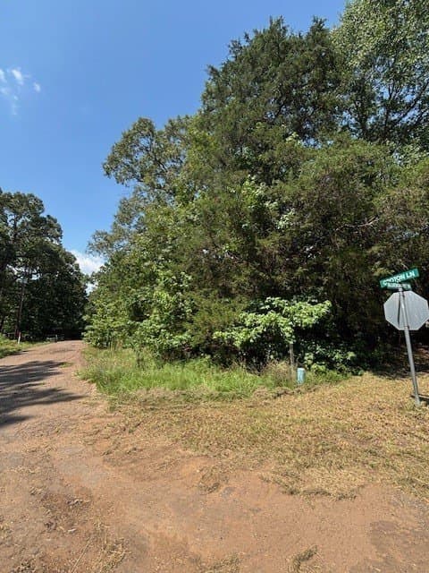 0.46 acres in Franklin (TX) County gallery image 4