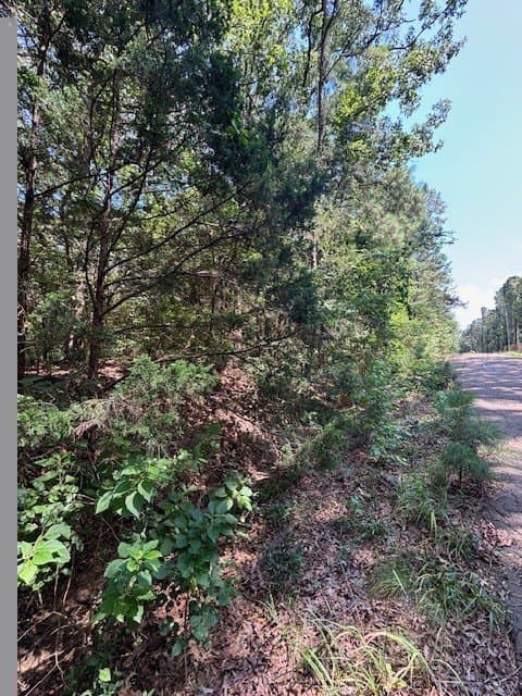 0.46 acres in Franklin (TX) County featured view