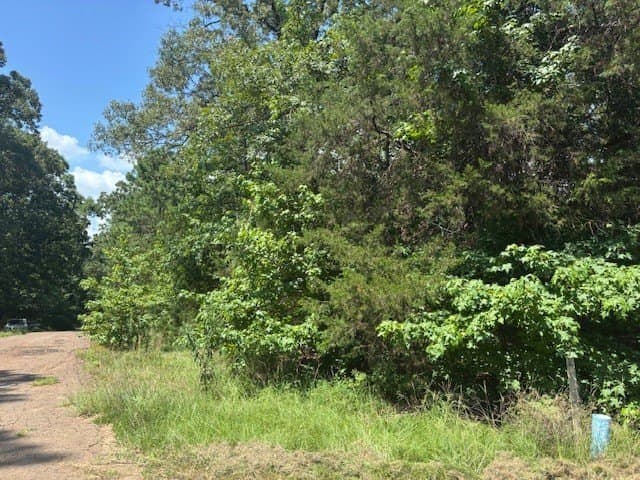 0.46 acres in Franklin (TX) County