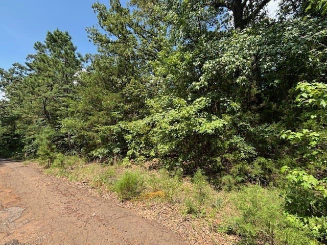 0.46 acres in Franklin (TX) County gallery image 3