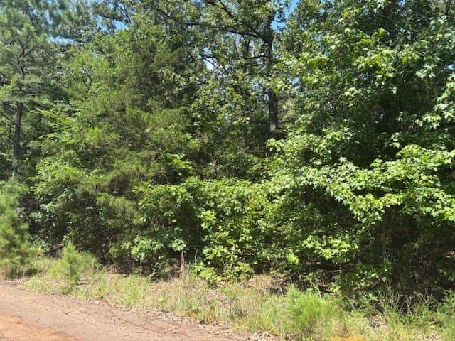 0.46 acres in Franklin (TX) County gallery image 2