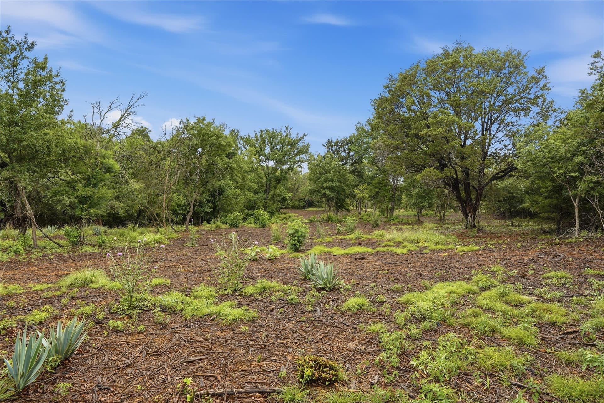 5.04 acres in Parker County - photo 17