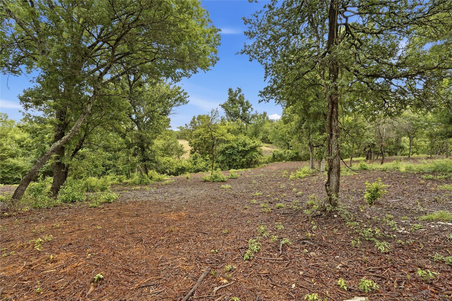 5.04 acres in Parker County - photo 14