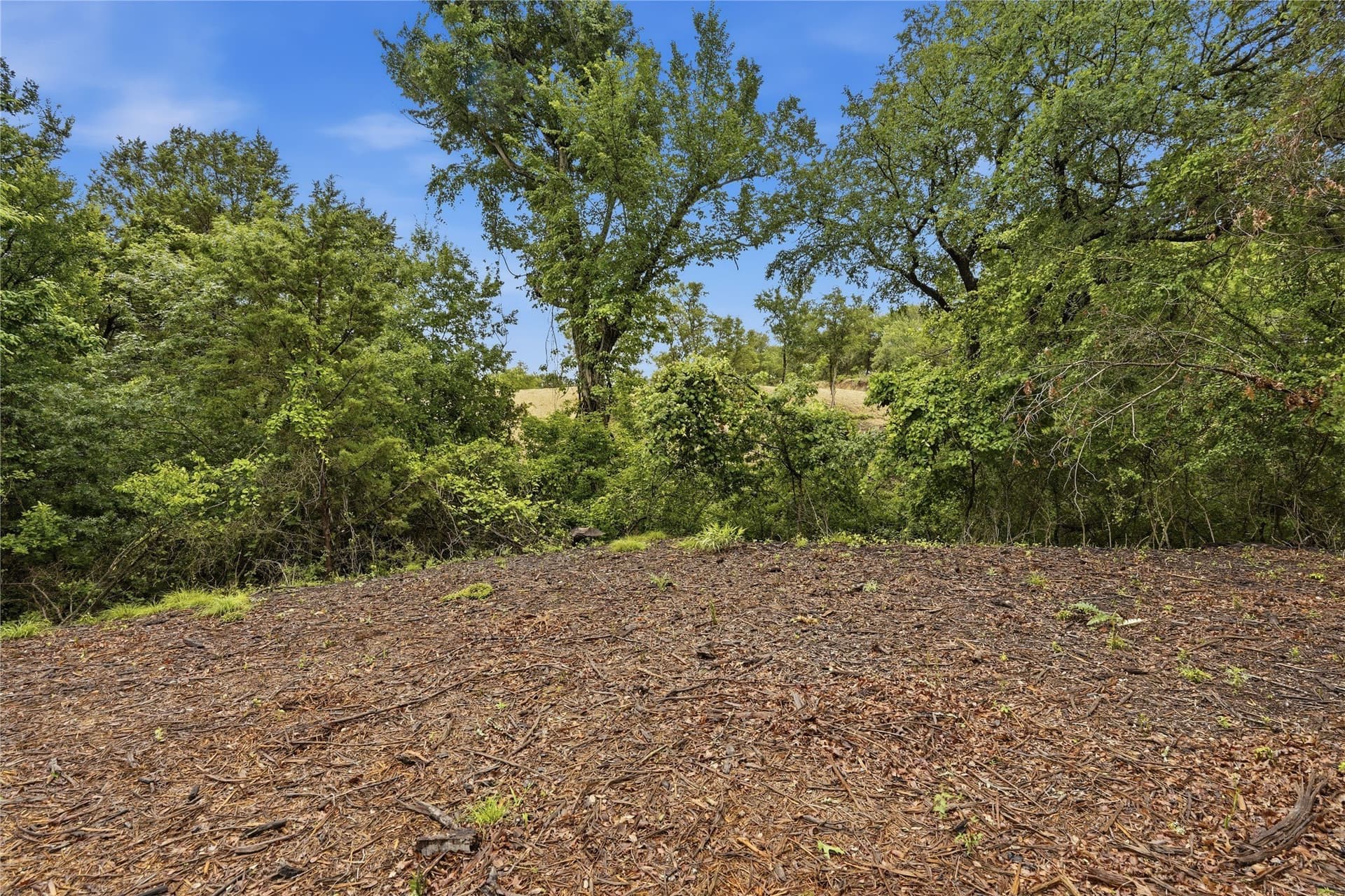 5.04 acres in Parker County - photo 23