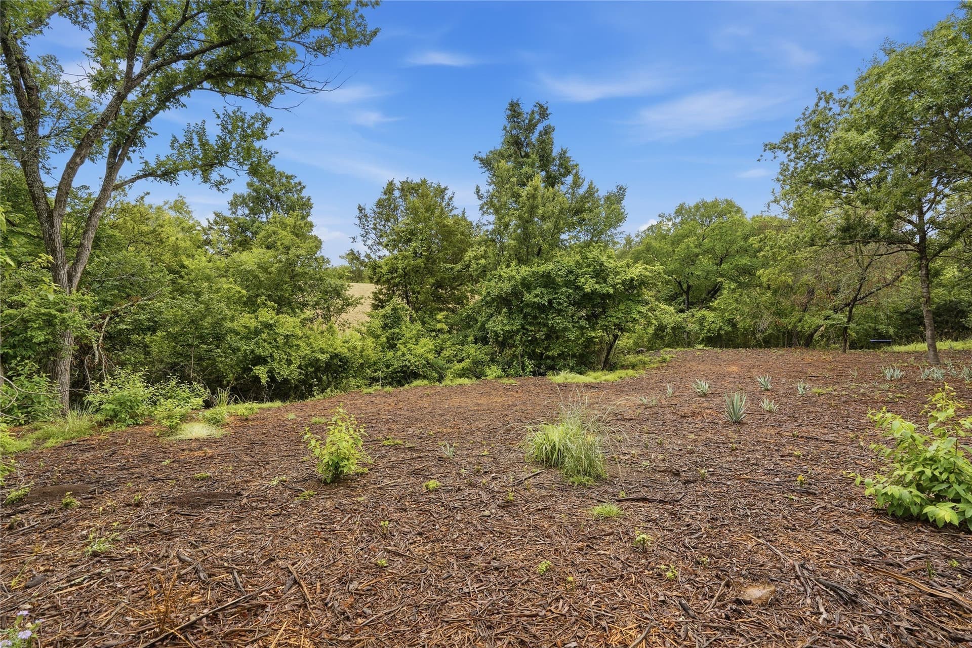 5.04 acres in Parker County - photo 20