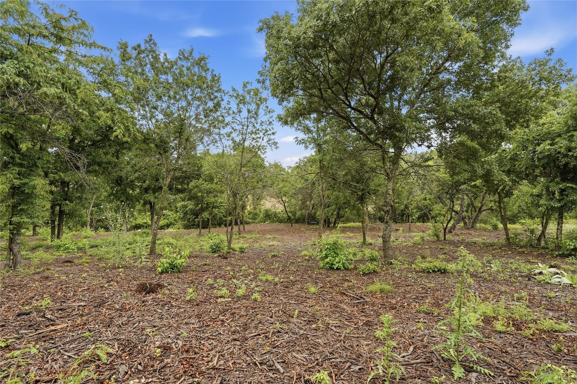 5.04 acres in Parker County - photo 12