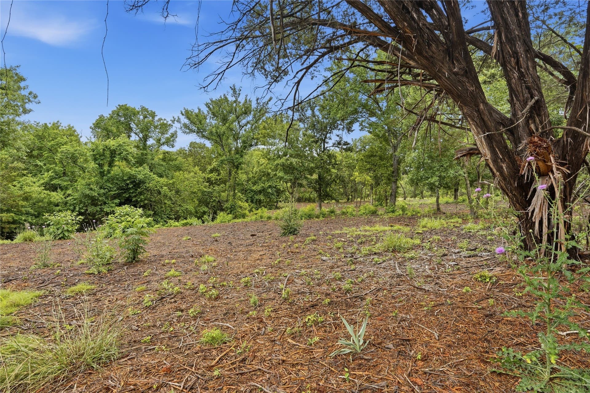 5.04 acres in Parker County - photo 16