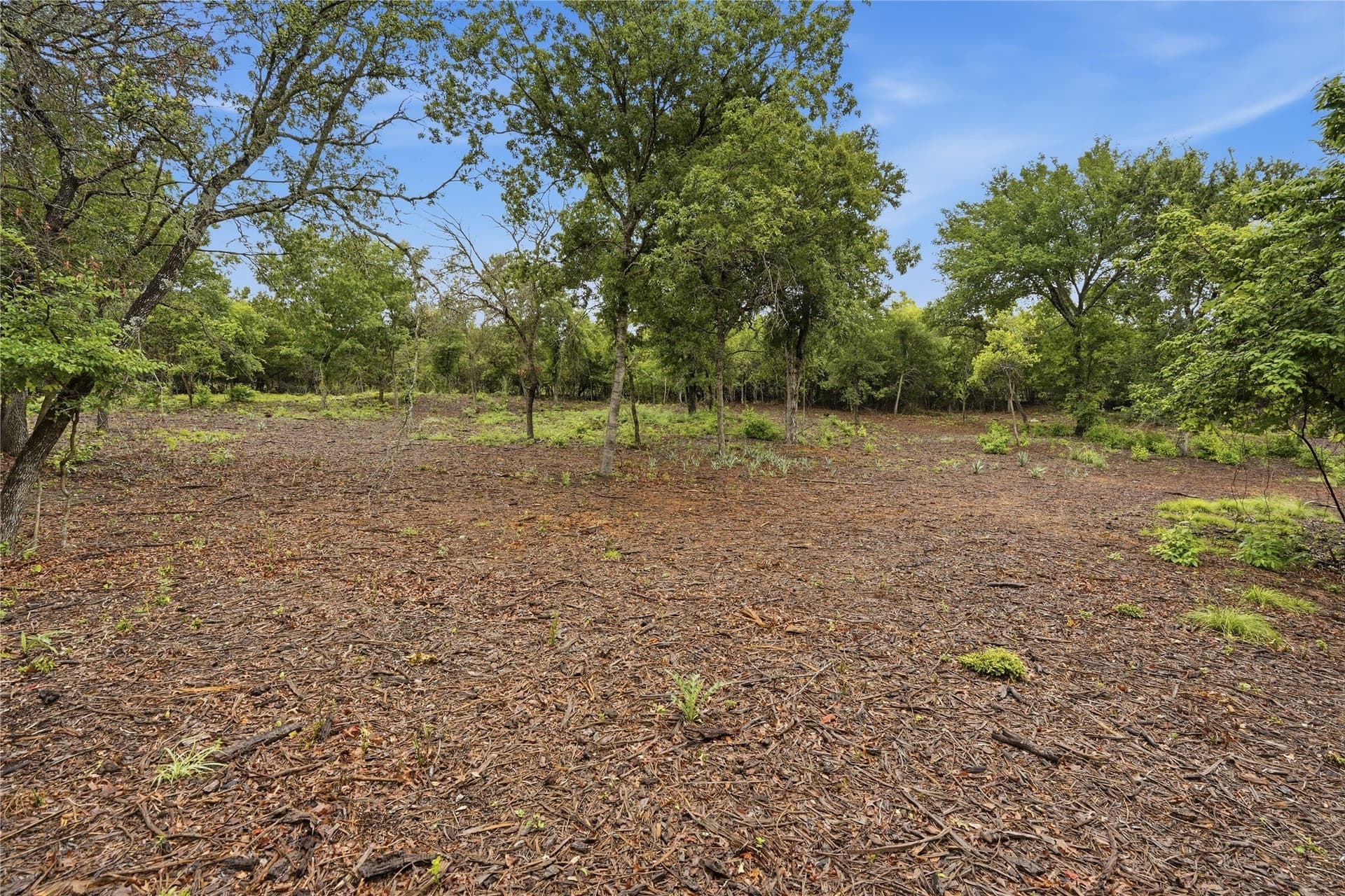 5.04 acres in Parker County - photo 22