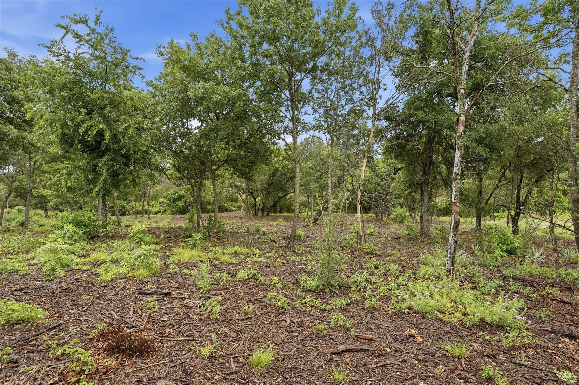5.04 acres in Parker County - photo 11