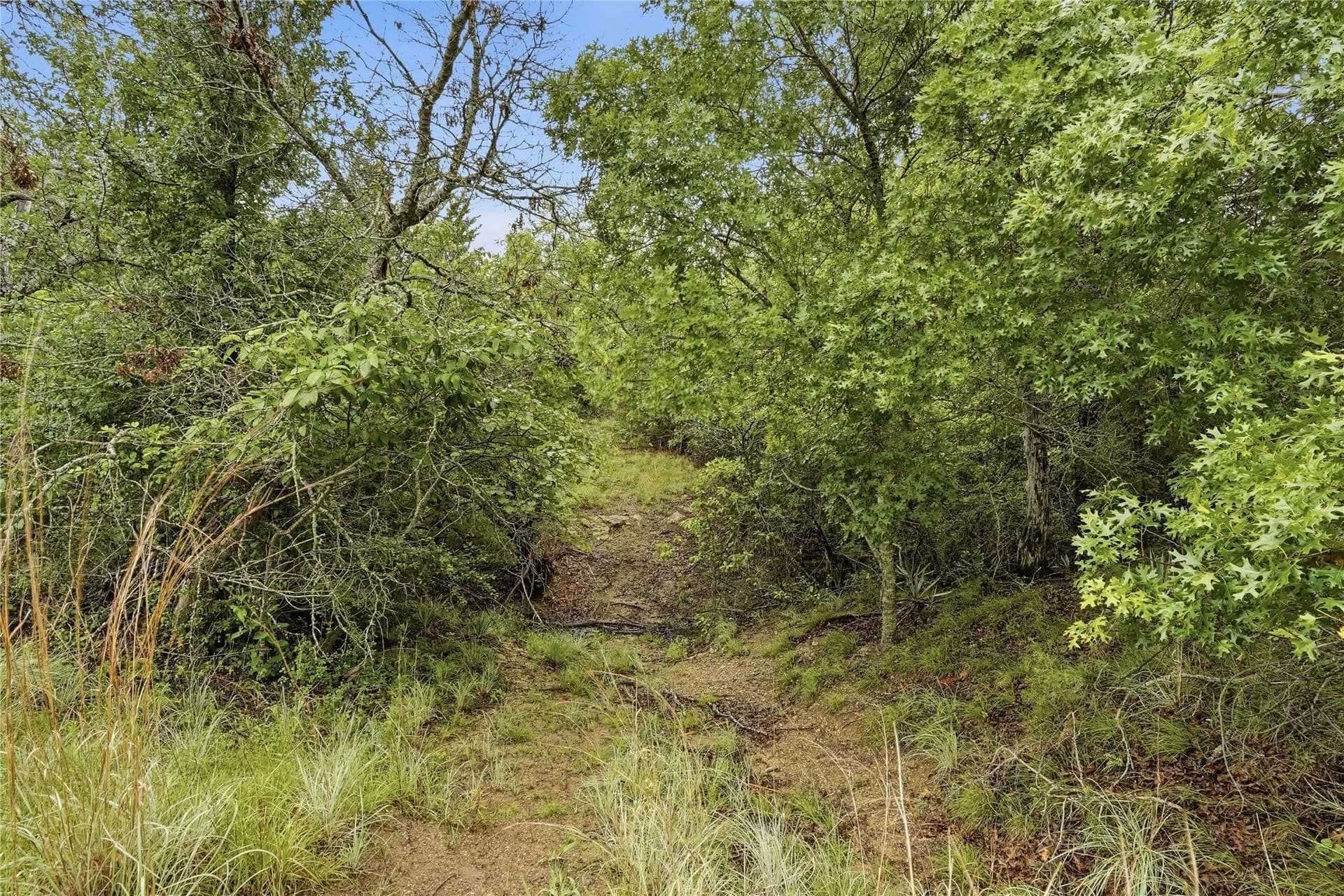 5.04 acres in Parker County - photo 25
