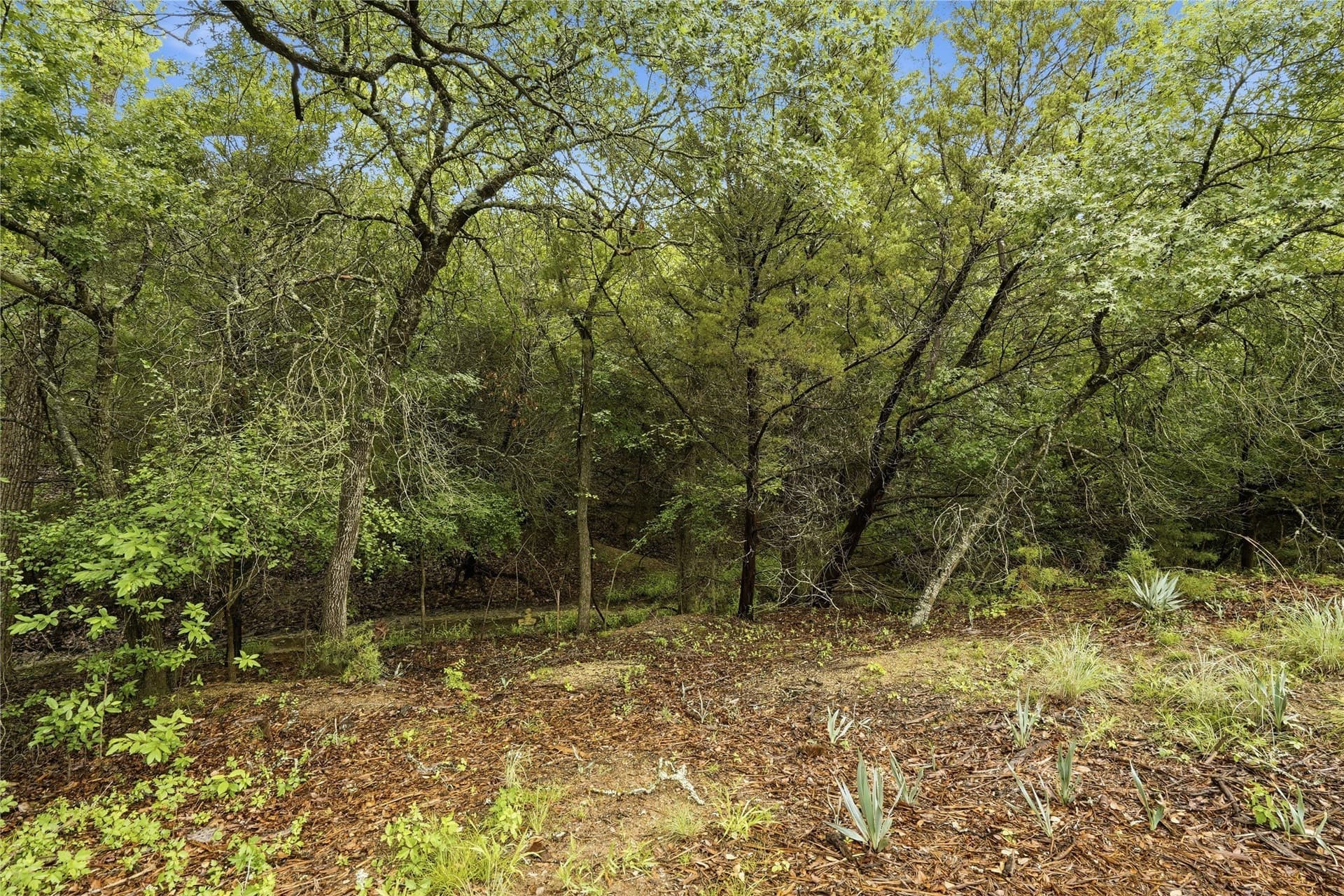 5.04 acres in Parker County - photo 18