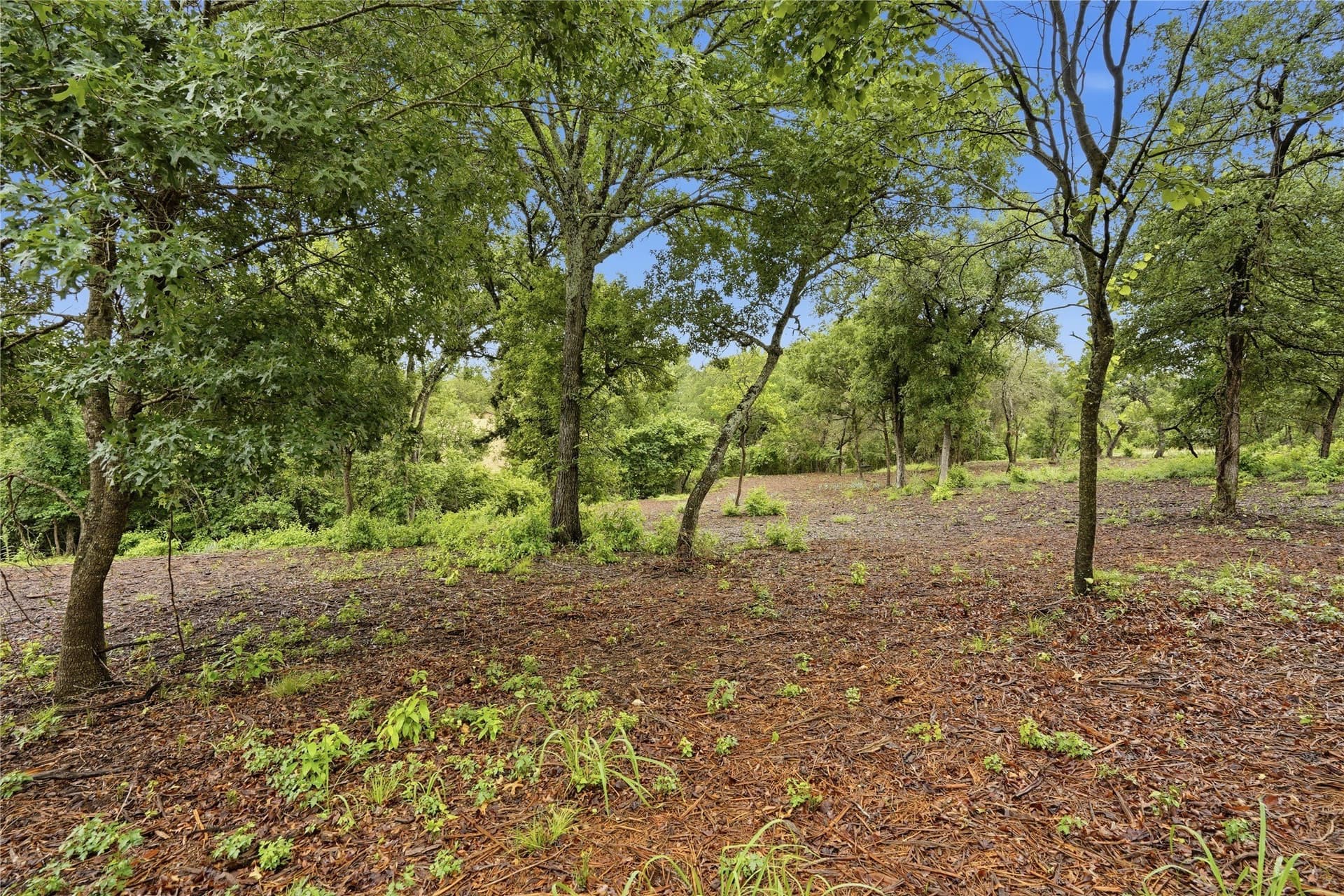 5.04 acres in Parker County - photo 15