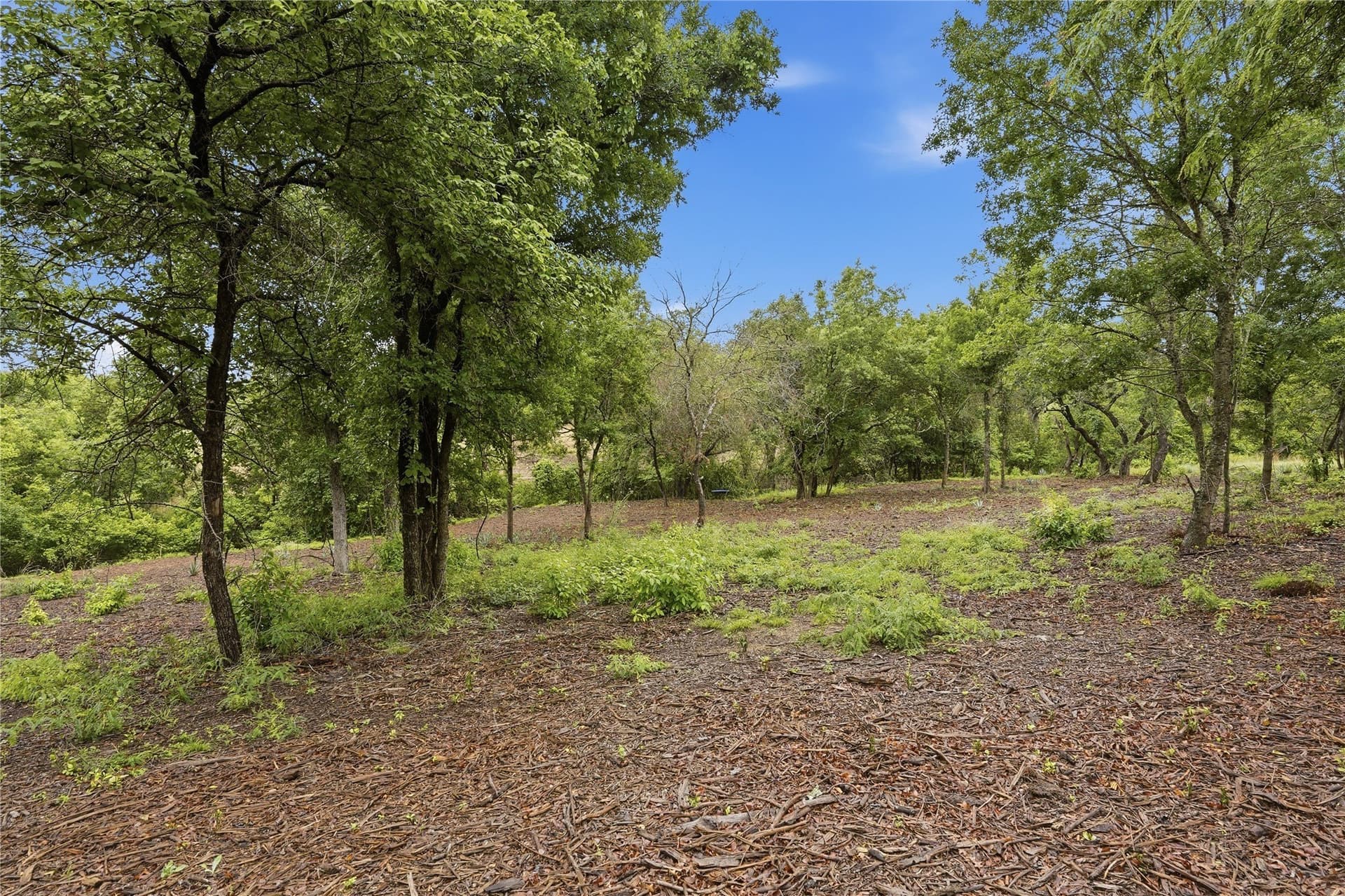 5.04 acres in Parker County - photo 13