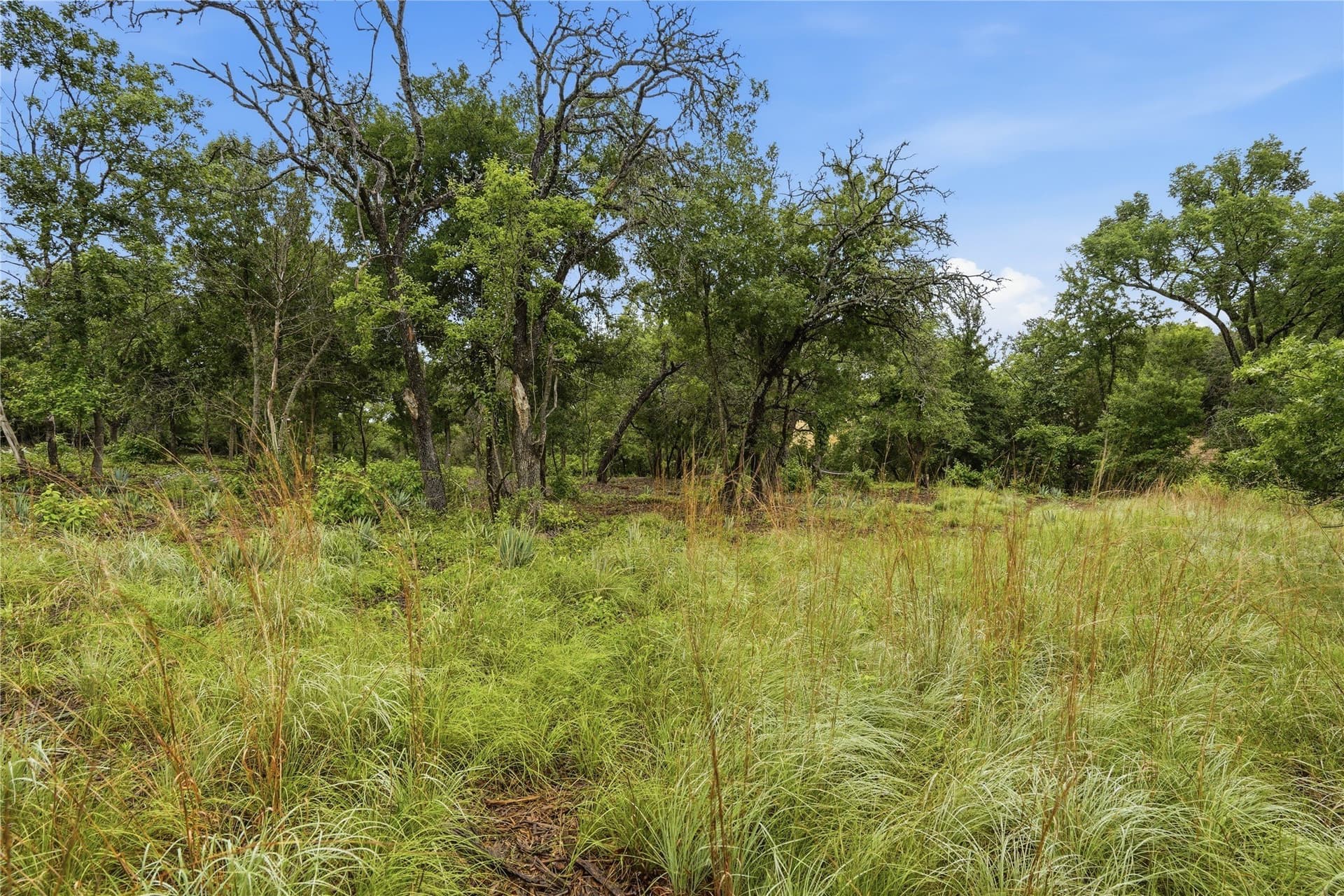5.04 acres in Parker County - photo 24