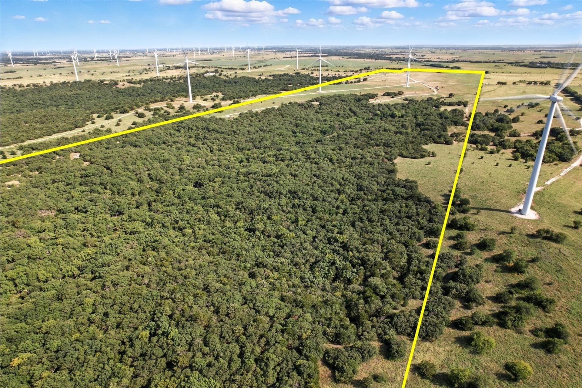 158 acres in Cooke County - photo 4