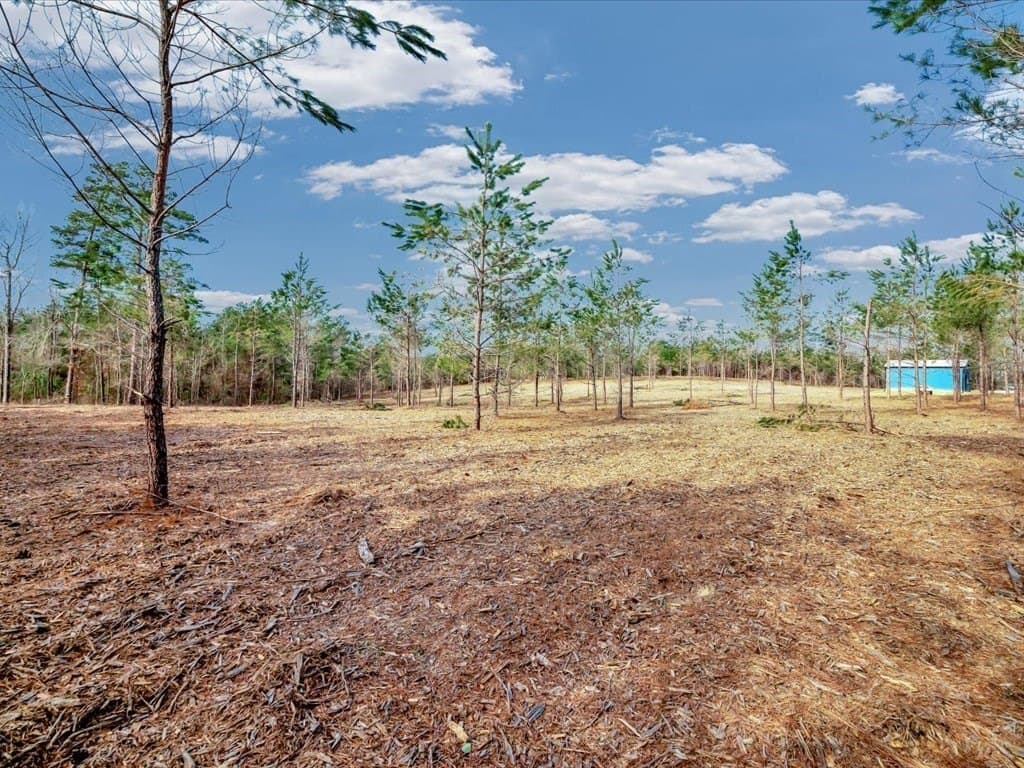 8.57 acres in Texas County gallery image 3