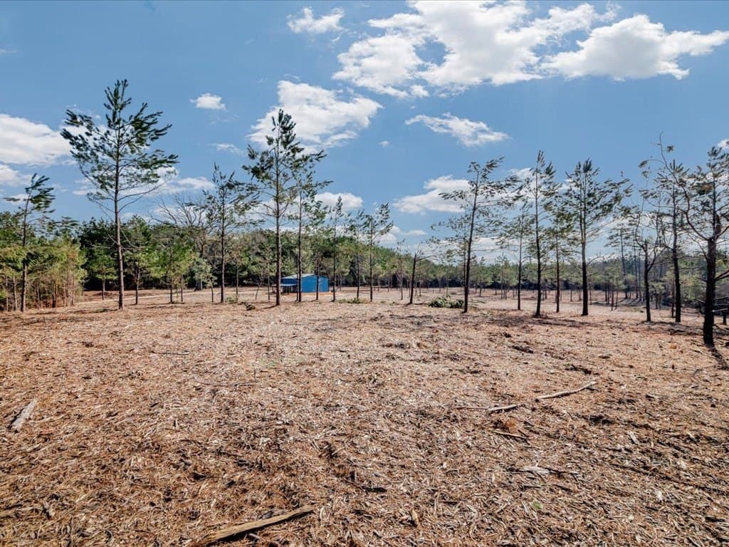 8.57 acres in Texas County gallery image 2