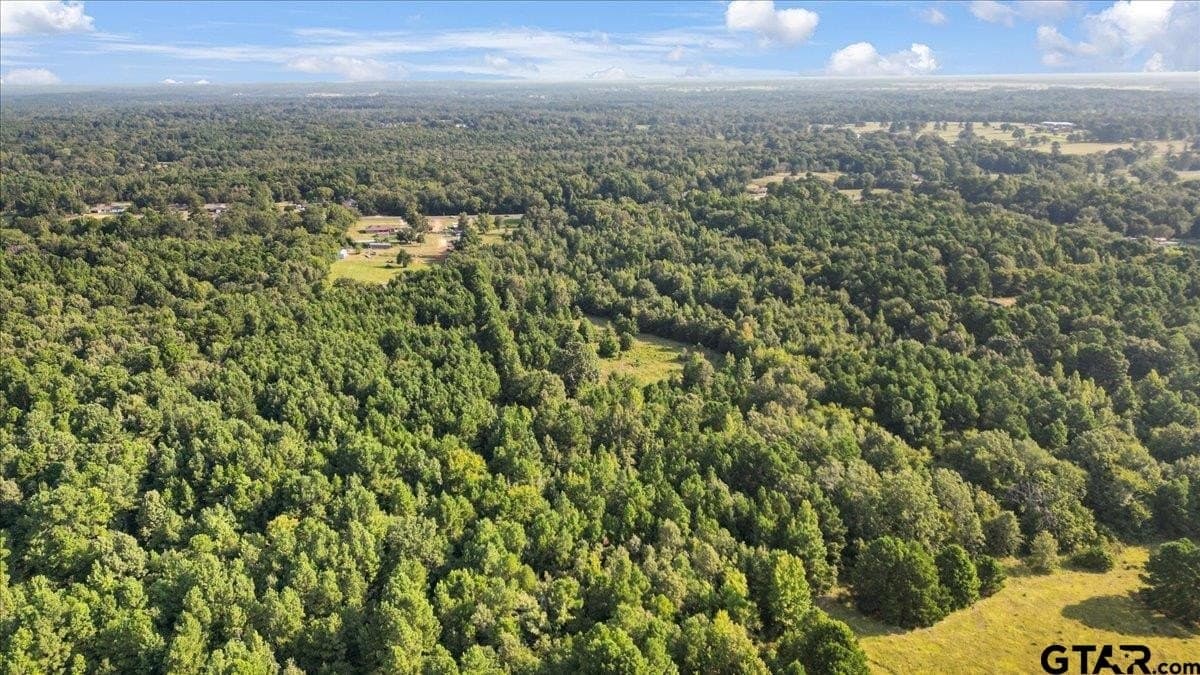 12.7 acres in Smith County gallery image 4