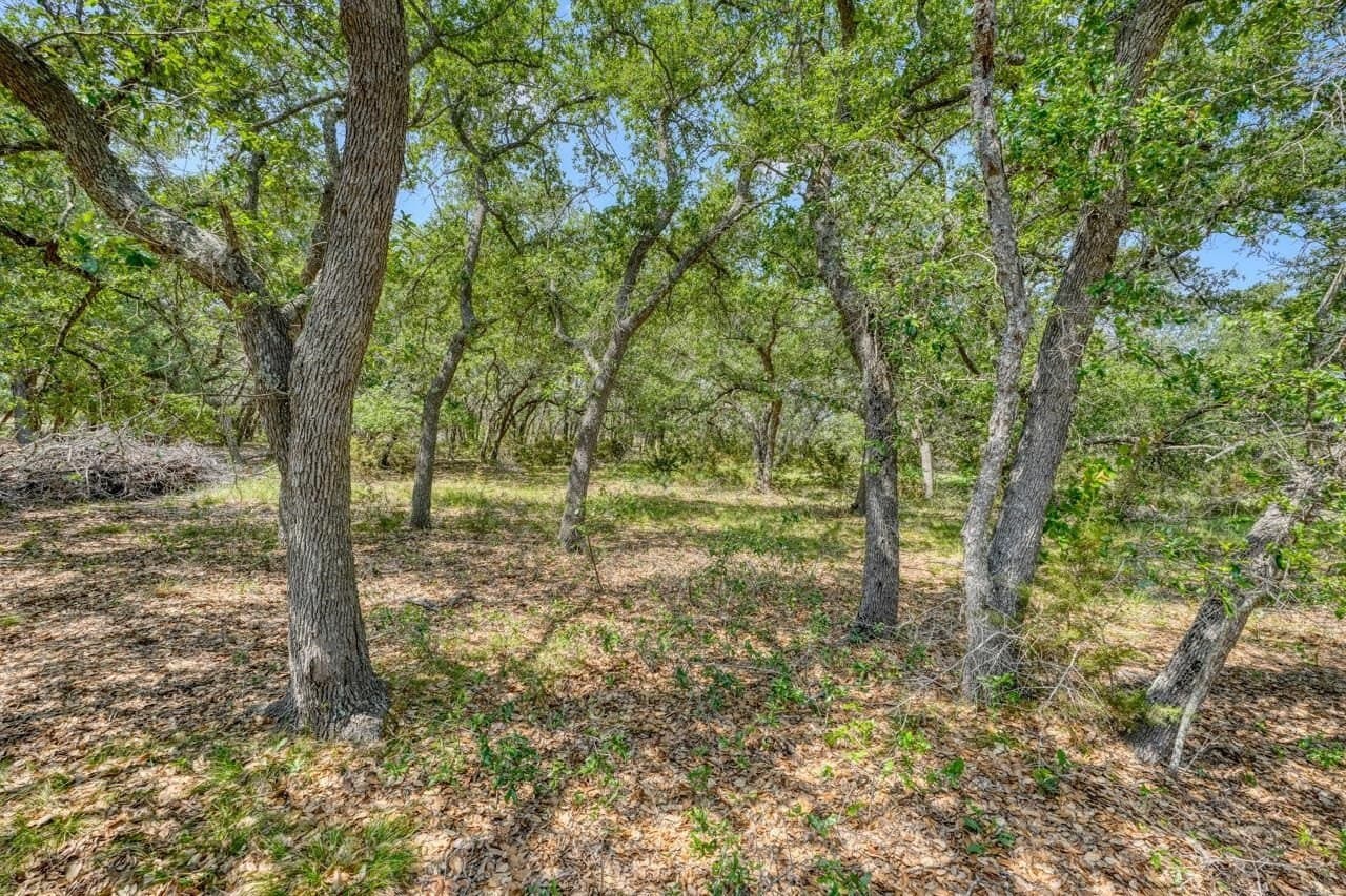 29.89 acres in Burnet County - photo 13