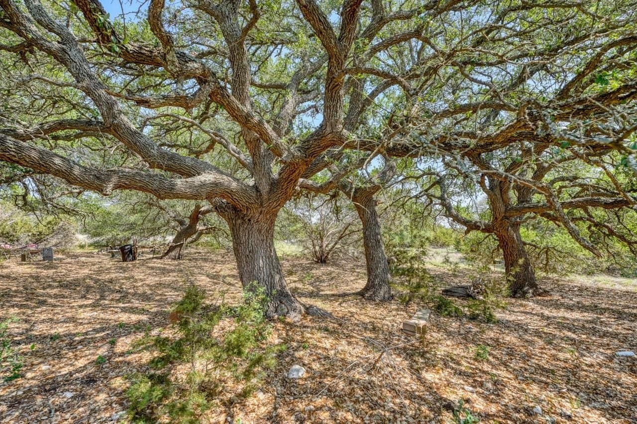 29.89 acres in Burnet County - photo 18
