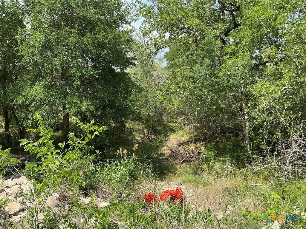 13.02 acres in Gonzales County - photo 6