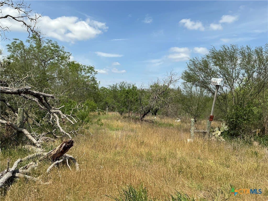 13.02 acres in Gonzales County gallery image 4