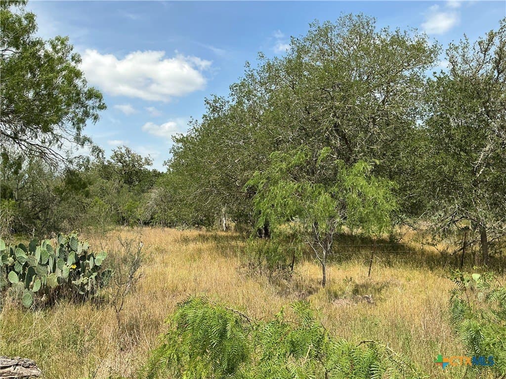 13.02 acres in Gonzales County featured view