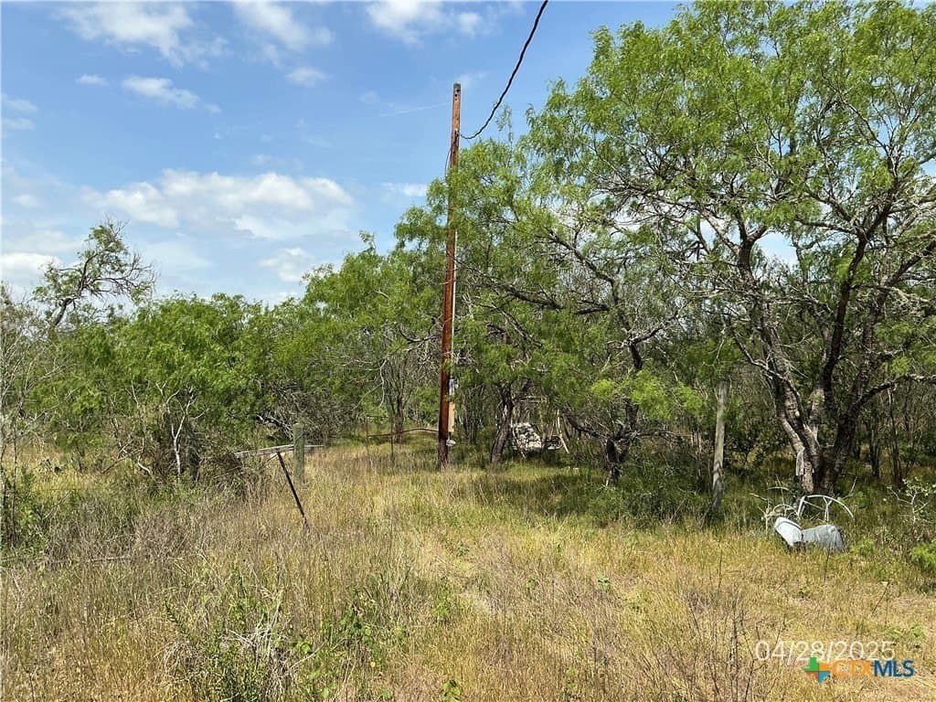 13.02 acres in Gonzales County gallery image 2
