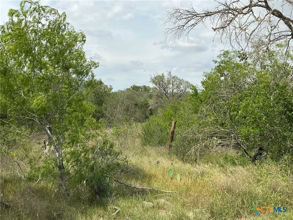 13.02 acres in Gonzales County