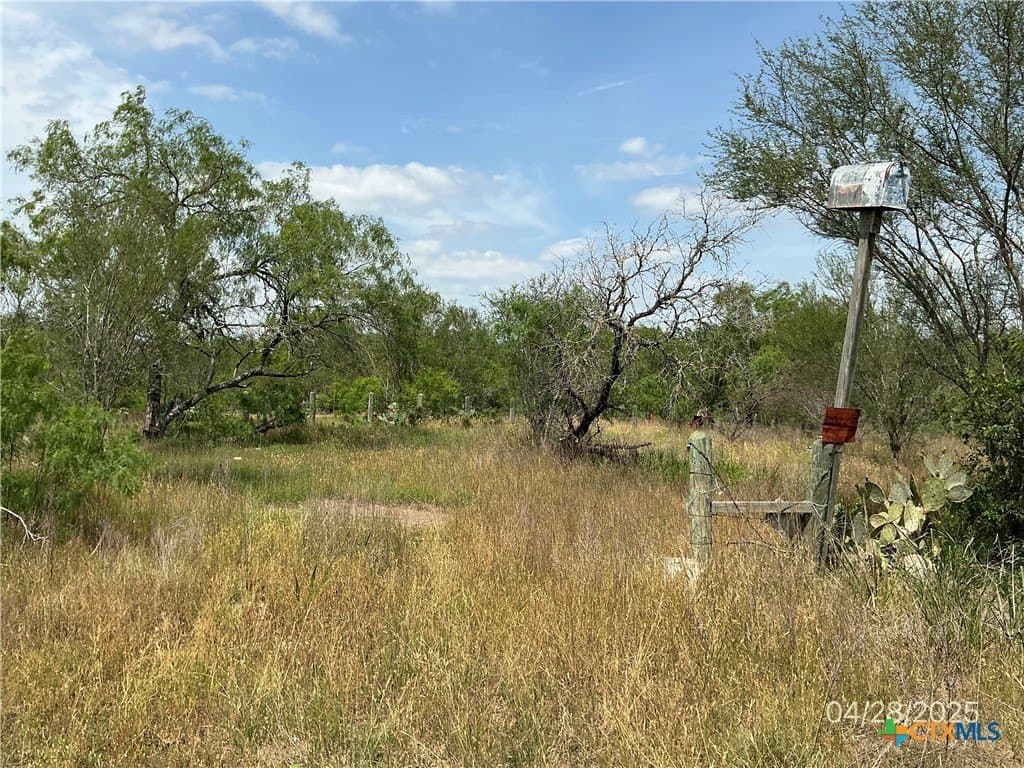 13.02 acres in Gonzales County gallery image 3