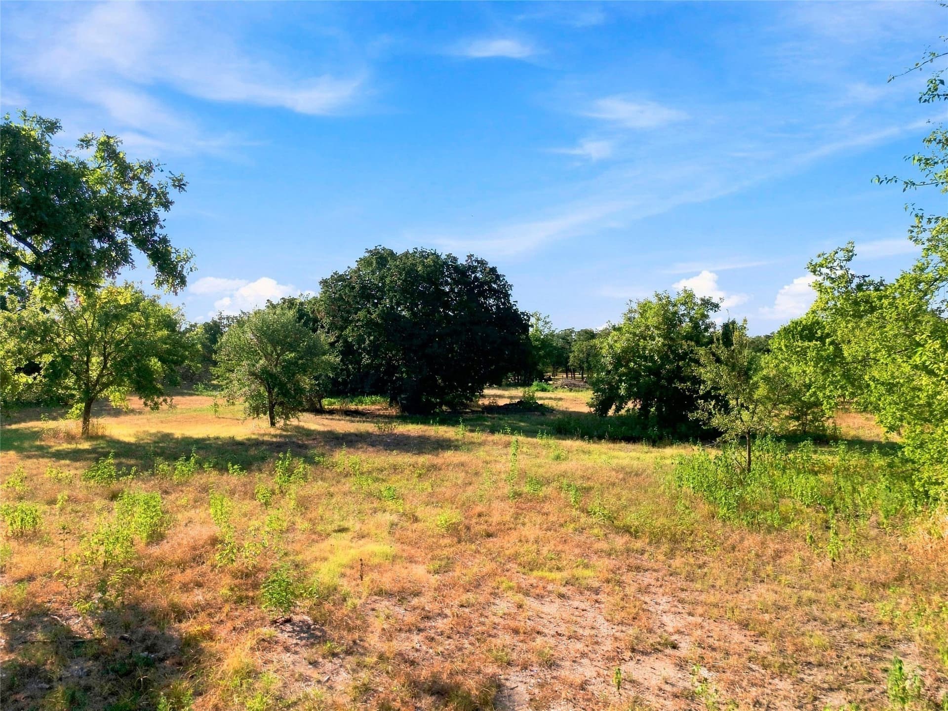 3.44 acres in Falls County - photo 5