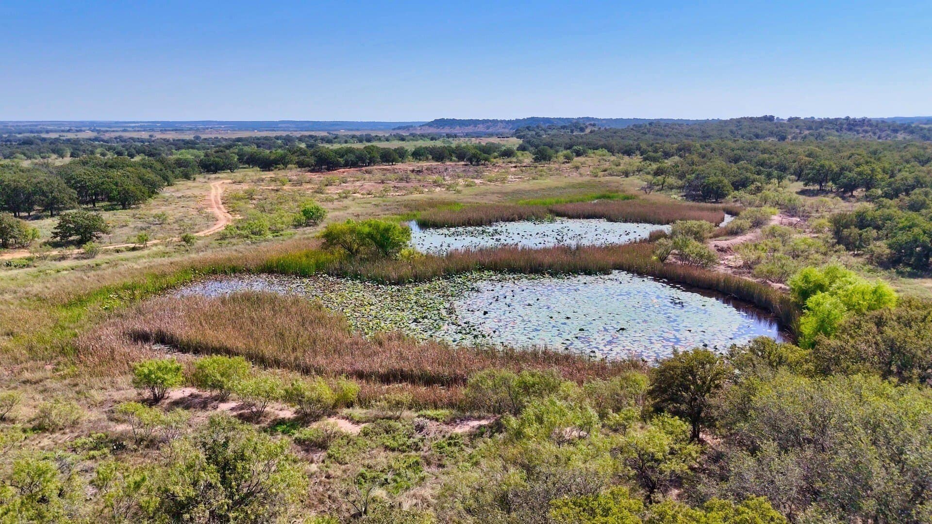 1,442 acres in Jack County gallery image 4