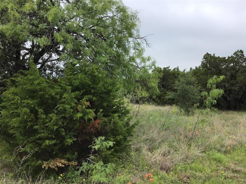 0.26 acres in Hill County gallery image 4