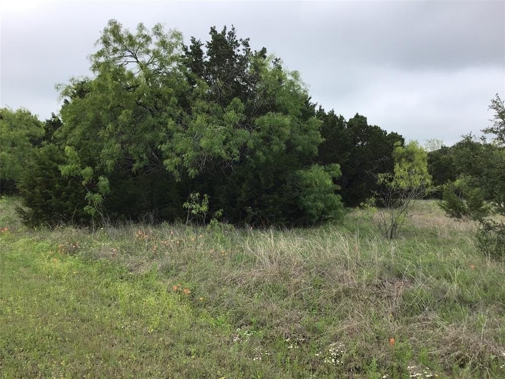 0.26 acres in Hill County gallery image 3