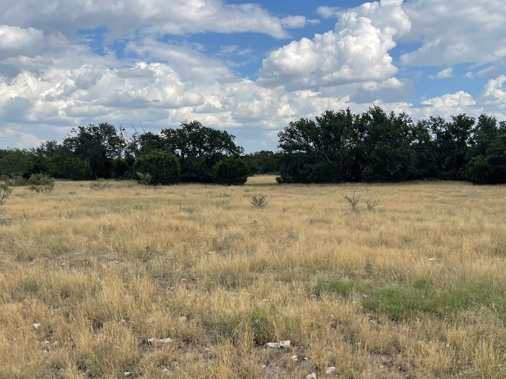 200 acres in Schleicher County - photo 8