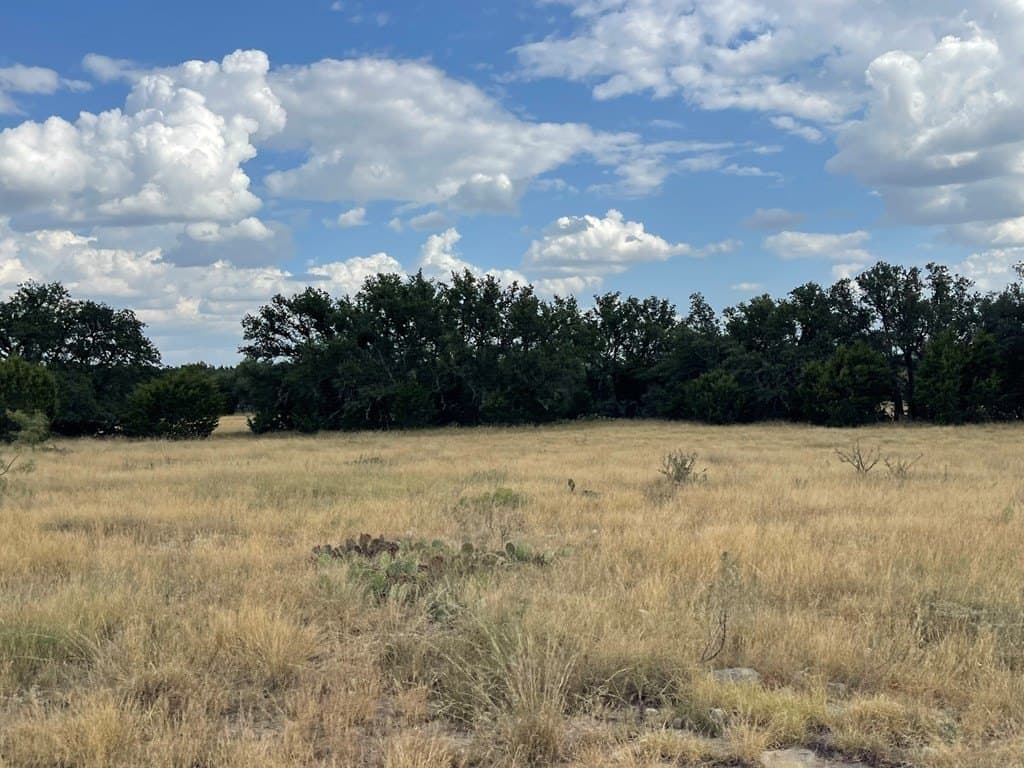 200 acres in Schleicher County - photo 9