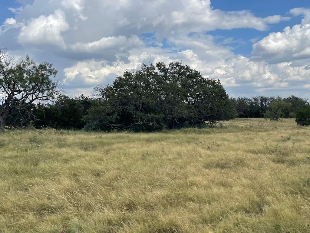 200 acres in Schleicher County - photo 6